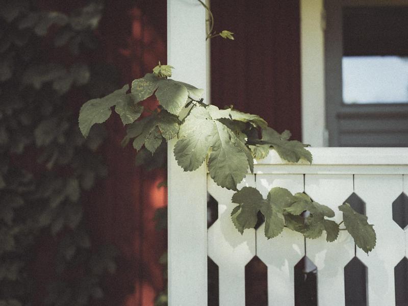Hotel Folk Och Fae Grisslehamn Esterno foto